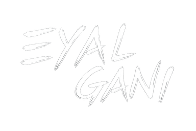 Eyal Gani